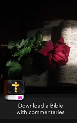 Study Bible with explanation android App screenshot 1